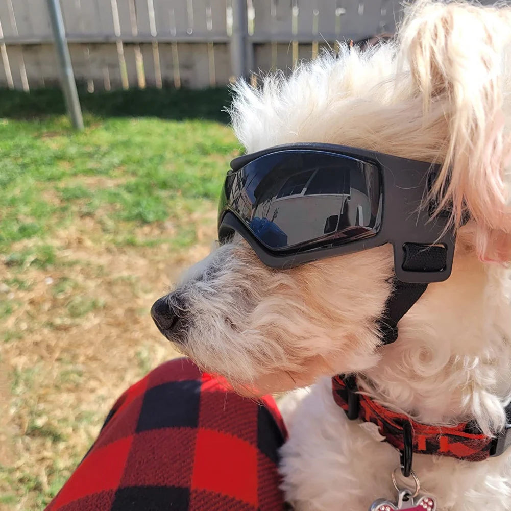 Solara Pet Shades