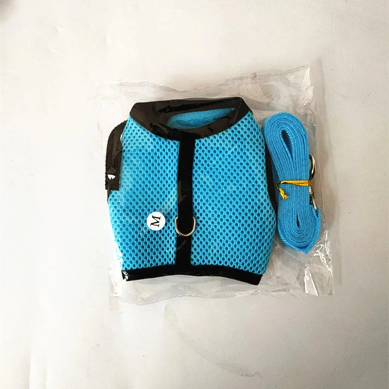 Pawvia Small-Pet Harness