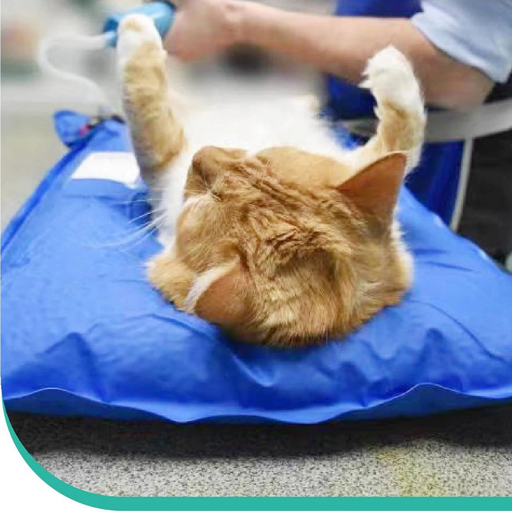 VetraCare Positioning Mat