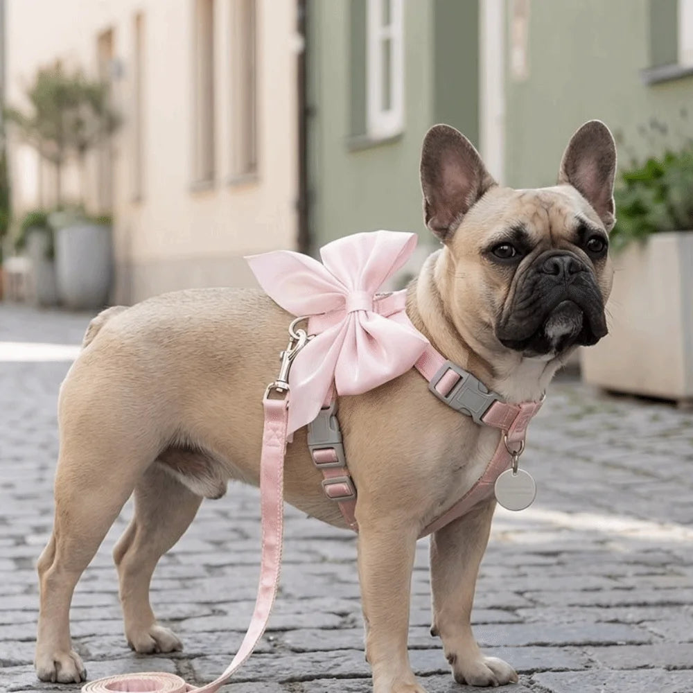 Velora Comfort Harness