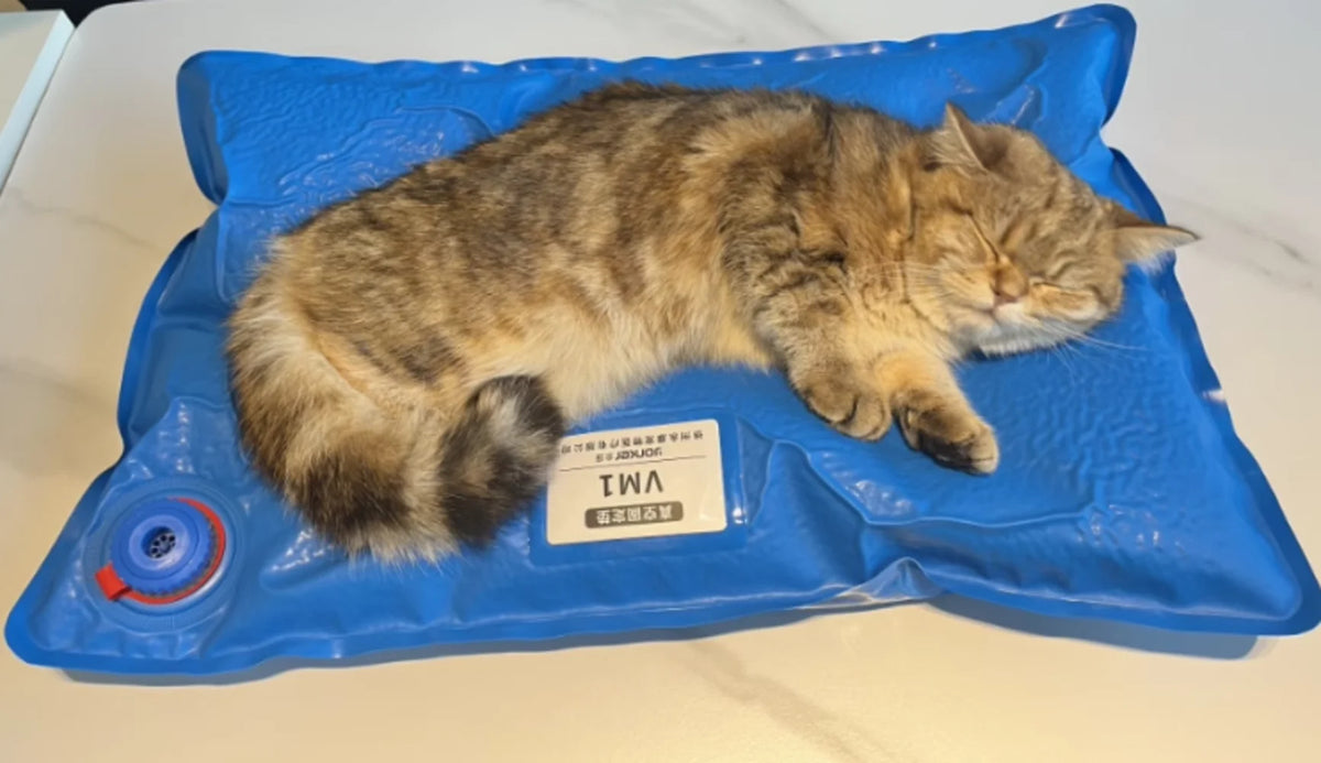 VetraForm Examination Mat
