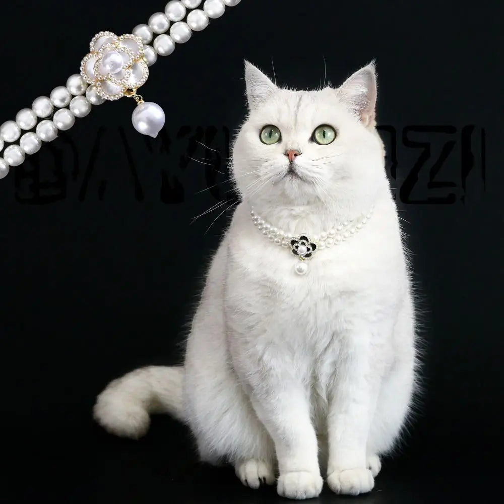 Pearlée Pet Collar