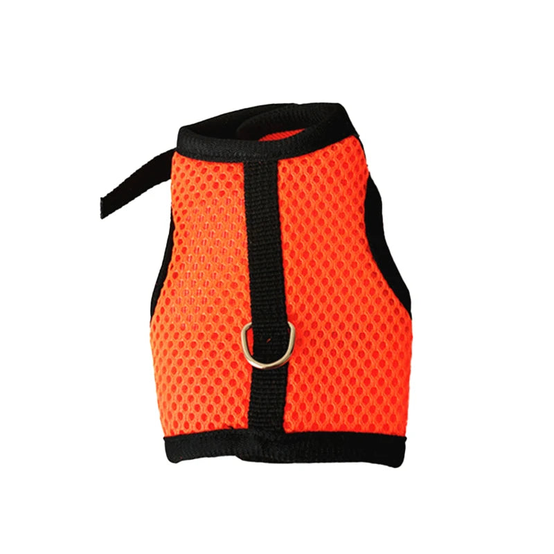 Pawvia Small-Pet Harness