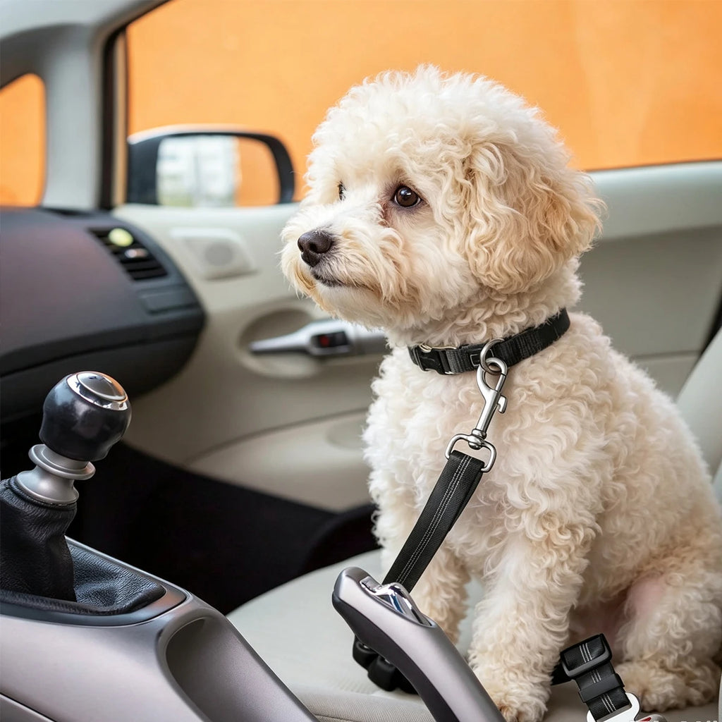 Velora Travel Safety Belt