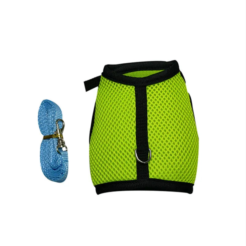 Pawvia Small-Pet Harness