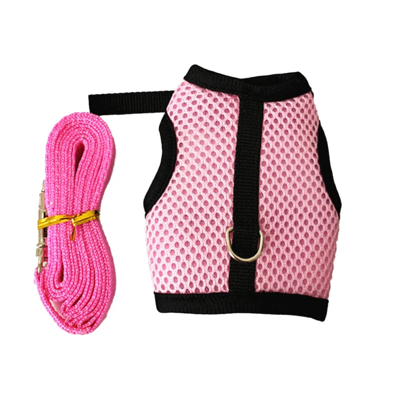Pawvia Small-Pet Harness
