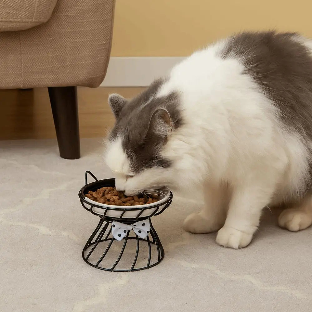 Elaris Raised Bowl
