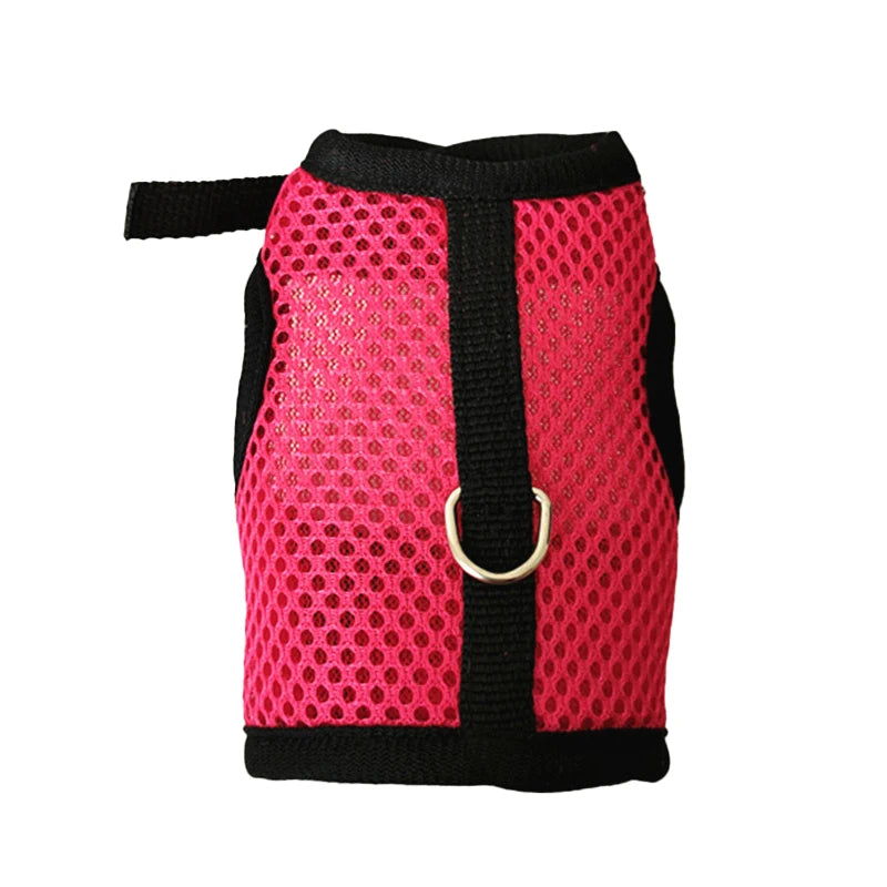 Pawvia Small-Pet Harness