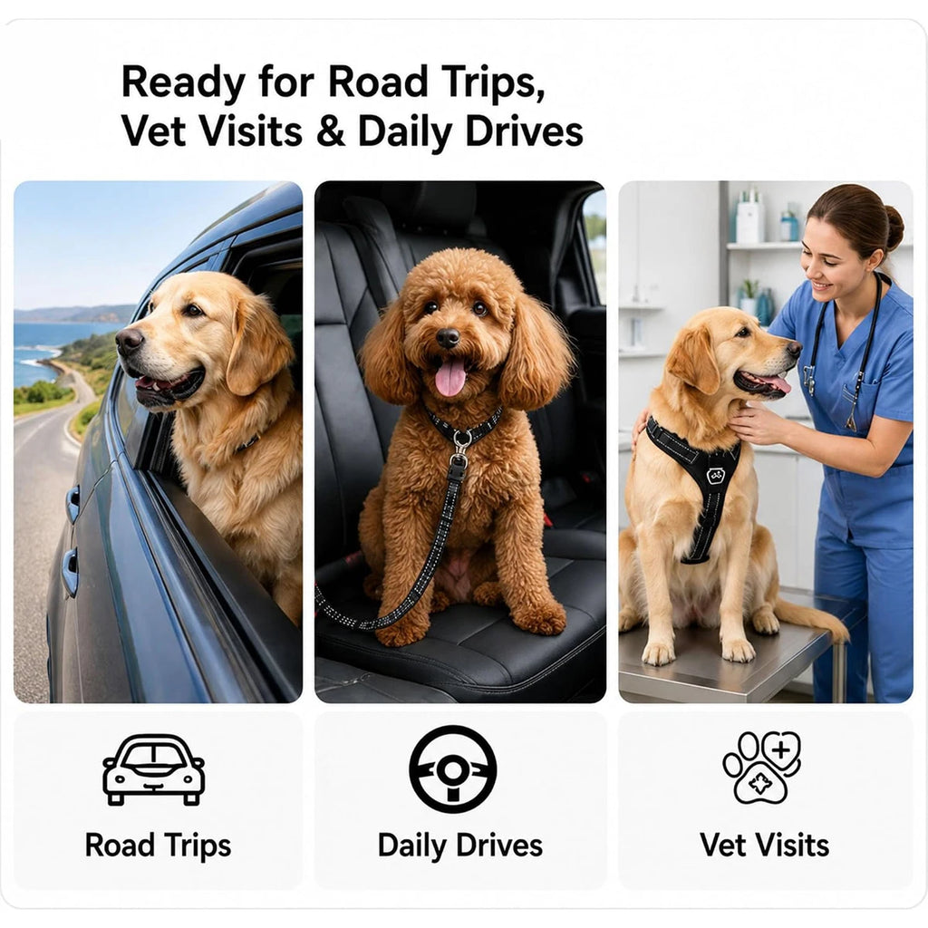 Velora Travel Safety Belt