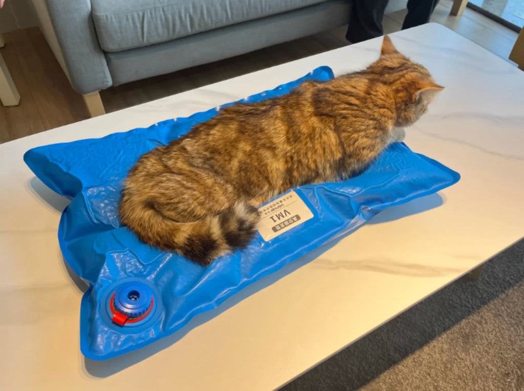 VetraForm Examination Mat