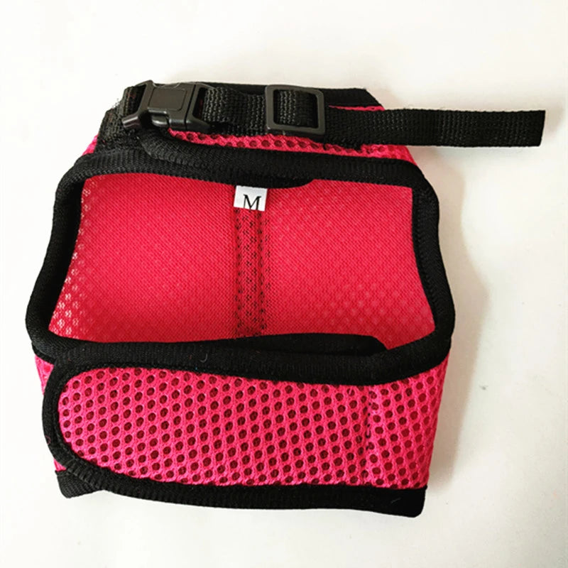 Pawvia Small-Pet Harness