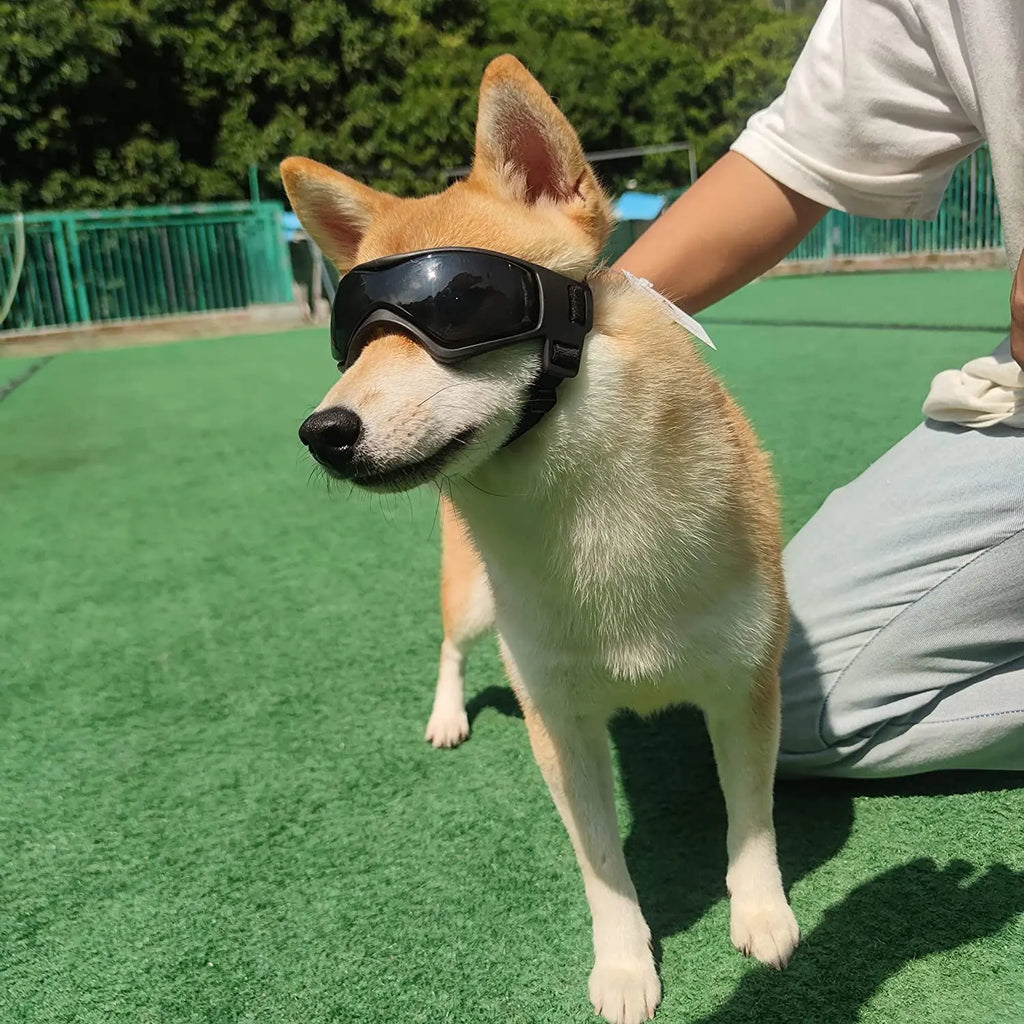 Solara Pet Shades