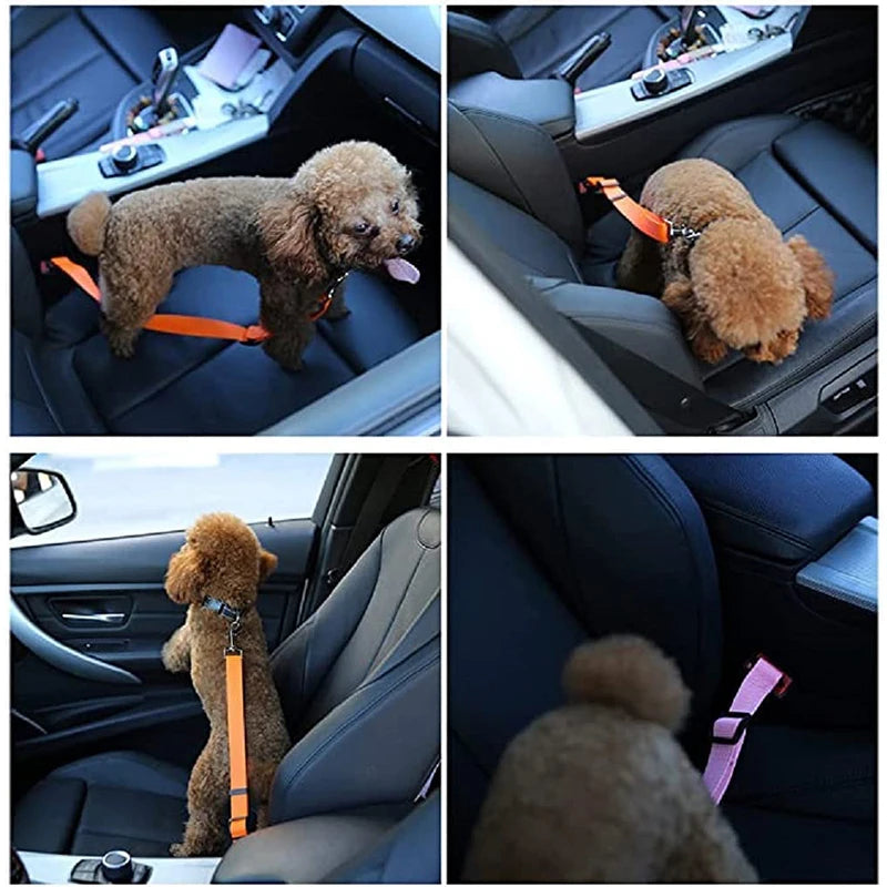 Velora Pet Safety Belt