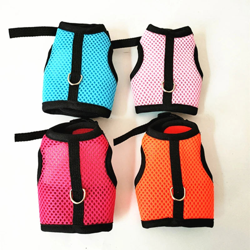Pawvia Small-Pet Harness