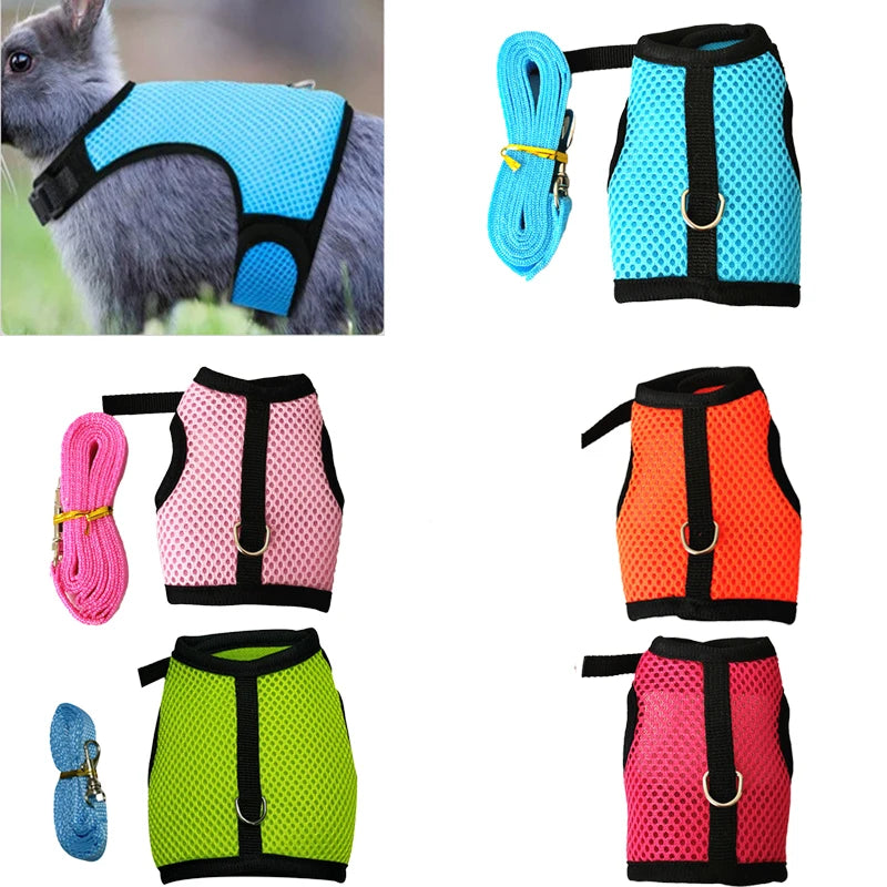 Pawvia Small-Pet Harness